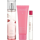 Набір Caudalie (Кодалі) Rose de Vigne (Енергетична туалетна вода 10 мл, Гель для душу 50 мл, Енергетична туалетна вода 50 мл) в аптеці