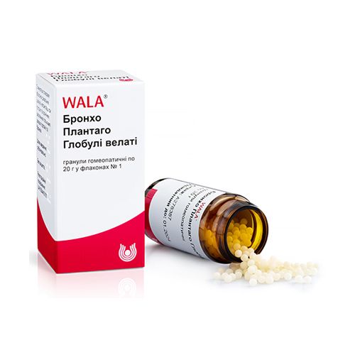 Бронхо Плантаго Глобули Велати гранулы 20 г в городе Одесса : цены, характеристики. - фото №1 Бронхо Плантаго Глобули Велати гранулы 20 г в городе Одесса : цены, характеристики.