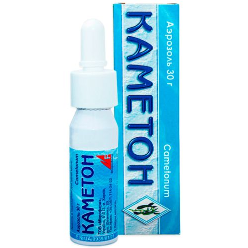 Каметон аэрозоль баллон 30 г купить - фото №1 Каметон аэрозоль баллон 30 г купить