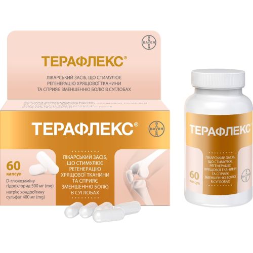 Терафлекс капсулы №60 в аптеке - фото №1 Терафлекс капсулы №60 в аптеке