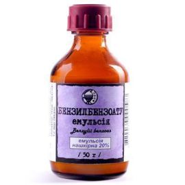 заказать - фото №1 заказать