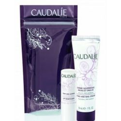 Набір Caudalie (Кодалі) Зимовий дует (Кондиціонер для губ зволожуючий 4 г + крем для рук/нігтів 30 мл)  в місті Запоріжжя : ціни, характеристика. 