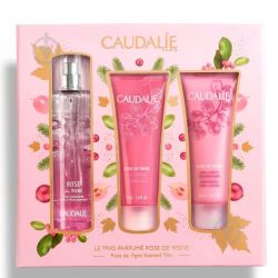 Набір Caudalie (Кодалі) Rose de Vigne (Вода енергетична 50 мл + Гель для душу 50 мл + Крем для тіла живильний 50 мл) в Дніпрі : ціни, характеристика. 